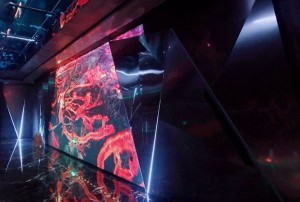 杭州临安区附近酒吧招聘女服务员,一般在哪招聘