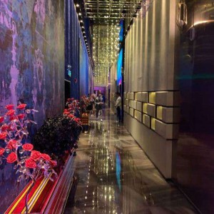 杭州萧山区新塘街道附近酒吧招聘包厢陪唱,一个月工资多少