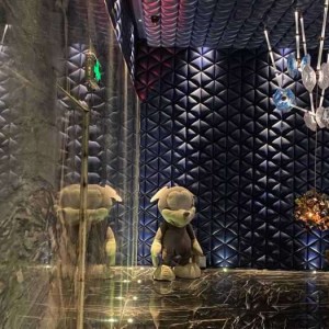 杭州高端KTV包厢：打造专属唱歌气氛，尽享音乐盛宴