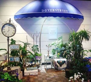 杭州金豪KTV最新联系电话及预订指南