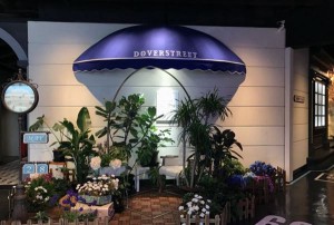 杭州唱吧迷你KTV：尽享私人音乐时光的欢乐唱吧